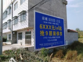 贵定墙体广告质量分析